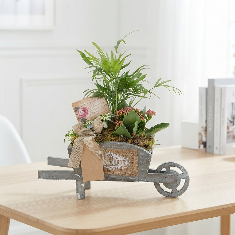 Mixed Plant Arrangement in Wooden Wheelbarrow – 35cm