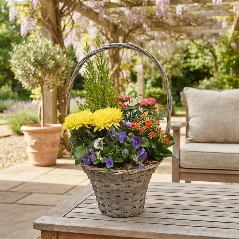 Wooden Handle Basket Plant Arrangement – 32cm