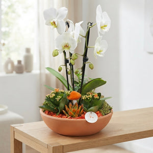 Orange Autumn Plant Arrangement – 32cm Terracotta Pot