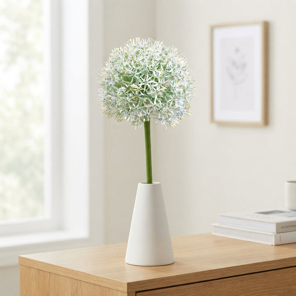 Allium ‘Mount Everest’ Flower Bulb
