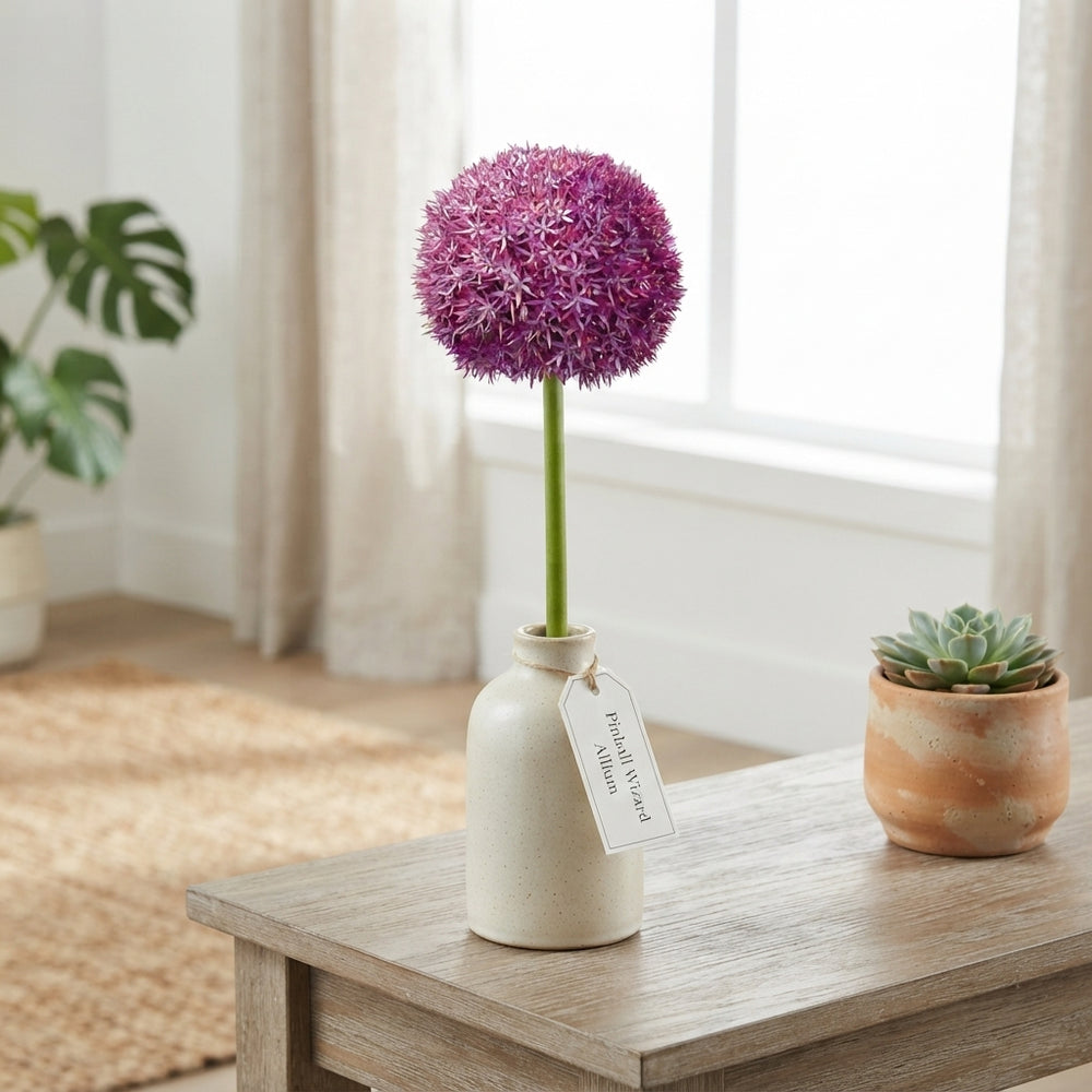 Allium ‘Pinball Wizard’ Flower Bulbs – 1 Bulb