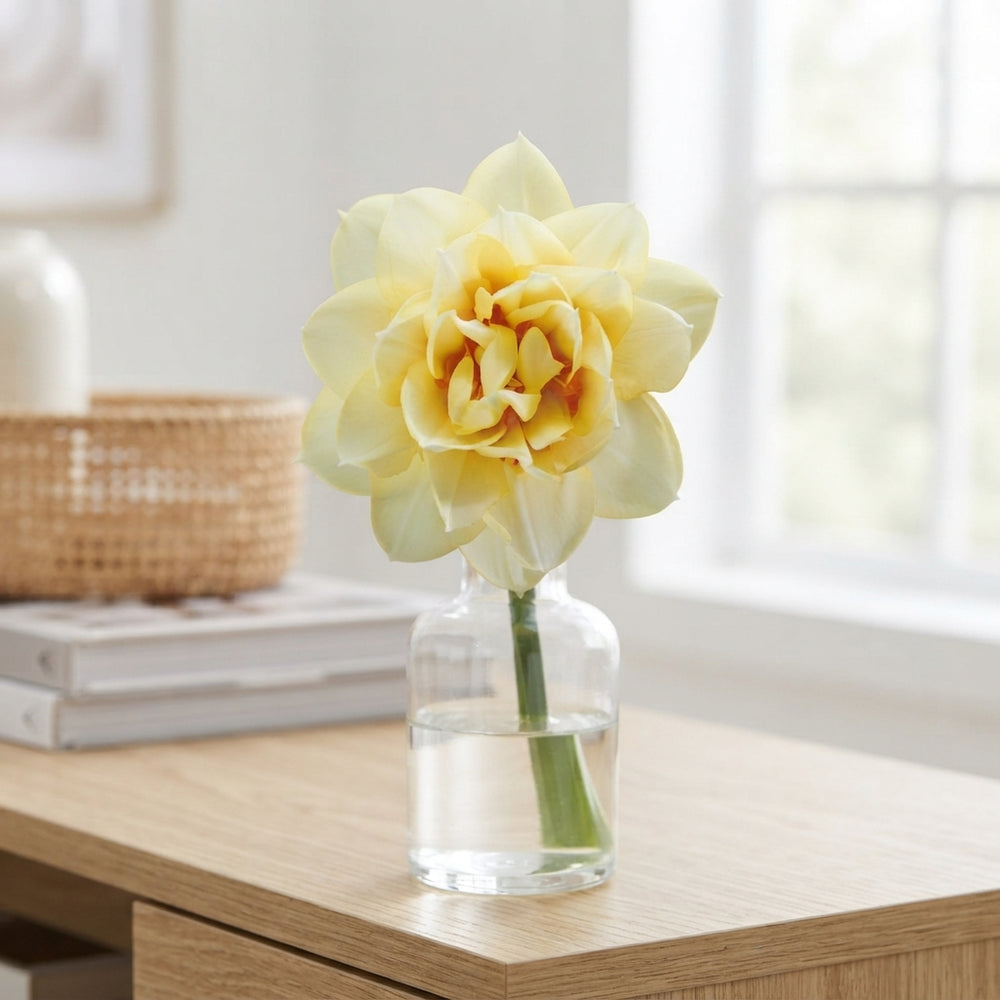 Narcissus ‘Double Romantic Paradise’ Flower Bulbs – Pack of 5