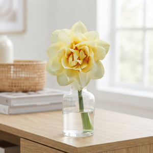 Narcissus ‘Double Romantic Paradise’ Flower Bulbs – Pack of 5