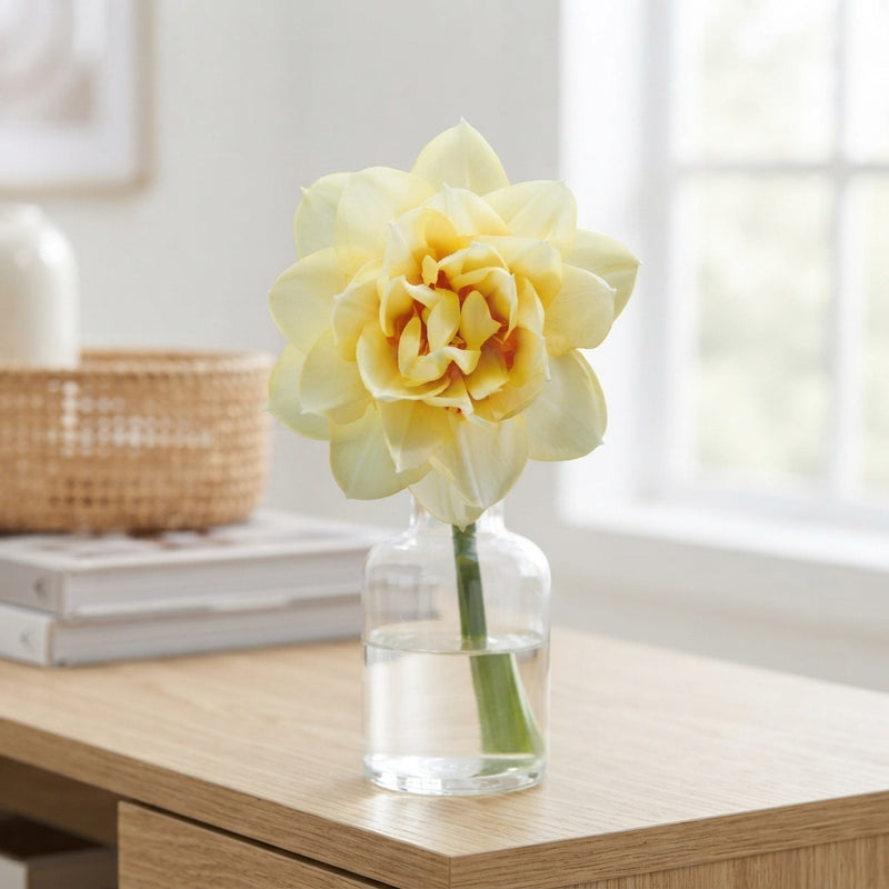 Narcissus ‘Double Romantic Paradise’ Flower Bulbs – Pack of 5