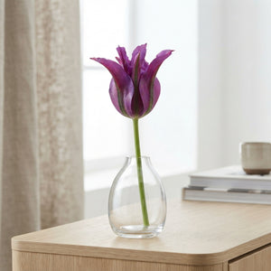 Tulip ‘Purple Doll’ Viridiflora Bulbs – Pack of 7