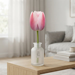 Tulipa ‘Apricot Delight’ Tulip Bulbs – Pack of 7