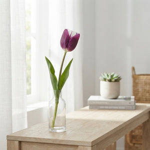 Tulipa ‘Atlantic’ Tulip Bulb Collection – 10 Bulbs