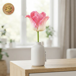Tulip ‘Crown of Dynasty’ Bulbs – Pack of 7