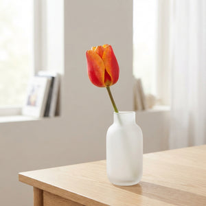 Apeldoorn Elite Darwin Hybrid Tulip Bulb