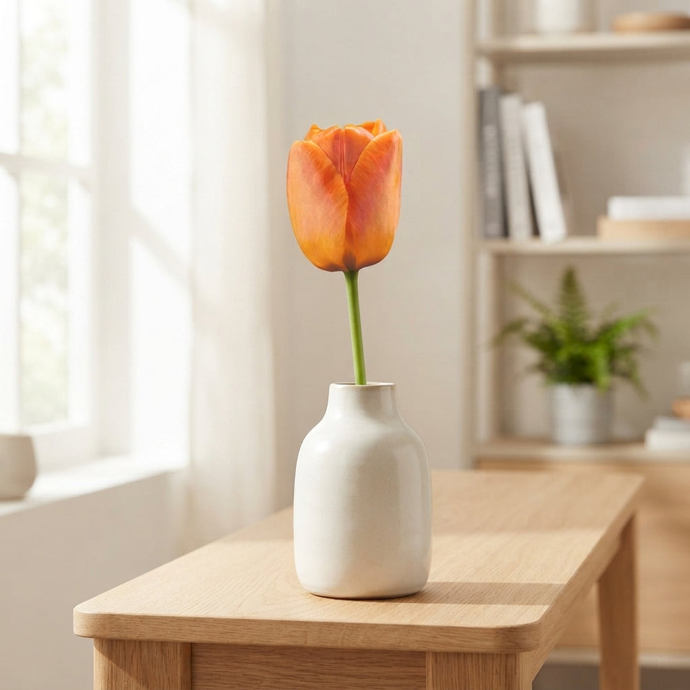 Tulipa ‘Daydream’ Flower Bulbs – Pack of 10