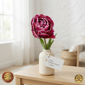 Dream Touch Double Late Tulip Bulb – Pack of 7