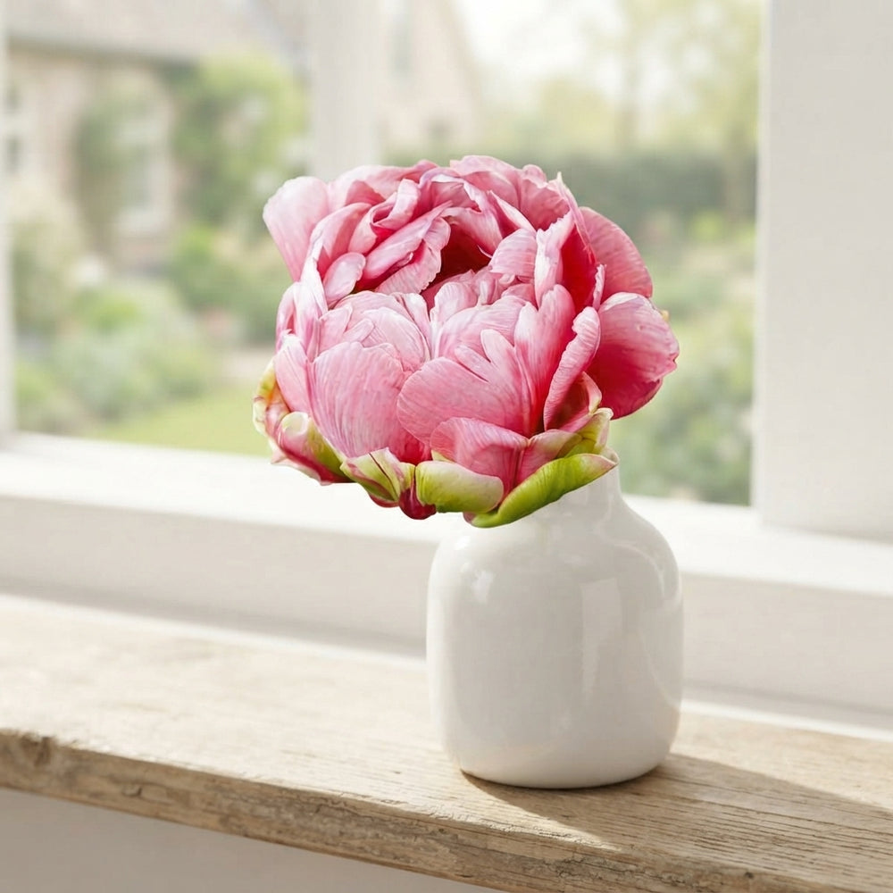 Double Late Tulip ‘Wedding Gift’ Bulbs – 7 Pack