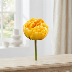Tulipa Double Late ‘Yellow Pomponette’ Flower Bulbs – Pack of 7