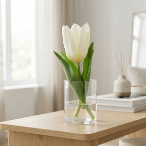 Tulipa Fosteriana ‘Purissima’ White Tulip Bulbs