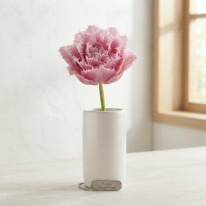 Tulipa ‘Fringed Double Perth’ Tulip Bulbs – Pack of 7