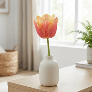 Fringed Tulip ‘Lambada’ Flower Bulbs – Pack of 7