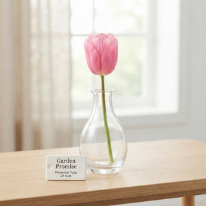 Tulipa ‘Garden Promise’ Flower Bulbs – 12/+ Grade