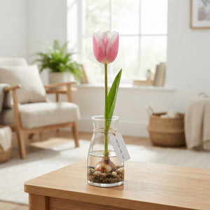 Tulipa ‘Sweet Candy’ Garden Tulip Bulbs – Pack of 10
