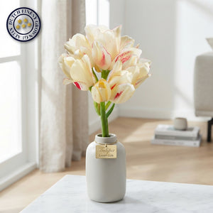 Tulipa Multiflora ‘Candy Club’ Tulip Bulbs – Pack of 7