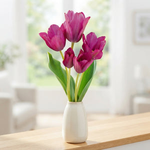 Tulipa ‘Night Club’ Multiflora Flower Bulbs – Pack of 7