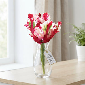Parrot Tulip ‘Estella Rijnveld’ Bulbs – Pack of 7
