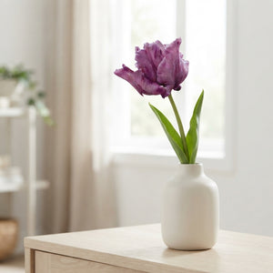 Tulip 'Parrot James Last' Bulbs – 7 Bulbs