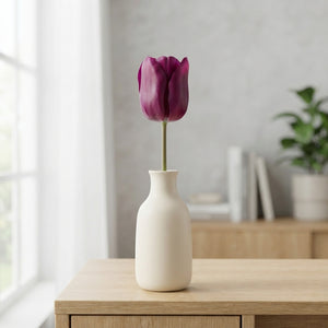 Tulipa Triumph ‘Passio Glosy’ Flower Bulbs – Pack of 7