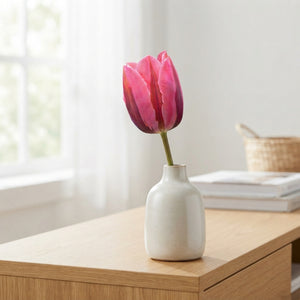 Tulipa ‘Pink Ardour’ Triumph Tulip Bulbs – 12/+