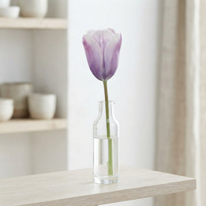 Tulipa Triumph ‘Silver Cloud’ Flower Bulbs – Pack of 5