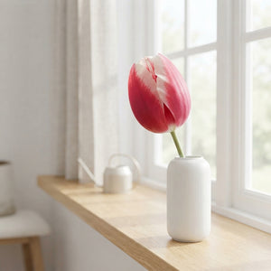 Tulipa Triumph ‘Timeless’ Flower Bulbs – 7 Bulbs
