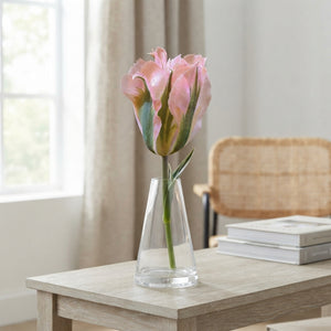 Tulipa 'China Town' Viridiflora Tulip Bulbs – 7 Bulbs