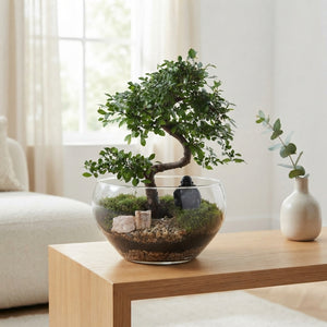 Mixed Indoor Bonsai Arrangement in Glass Bowl – 25cm