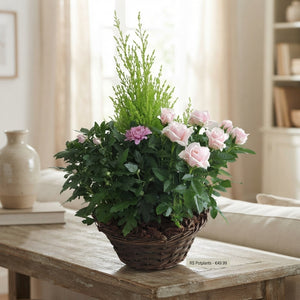Ornamental Wicker Pot Arrangement – 25cm Pot, 60cm High