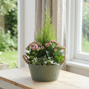 Ornamental Zinc Pot Arrangement – 25cm Pot, Approx. 60cm High