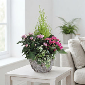 Round Wicker Plant Arrangement – 25cm Pot