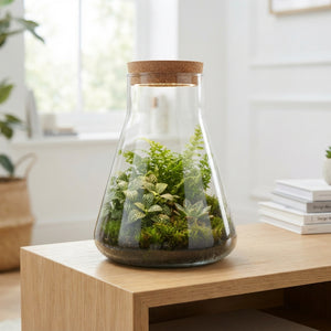 Large Erlenmeyer Glass Terrarium with LED – 26cm
