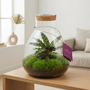 Large Erlenmeyer Glass Terrarium with LED – 26cm