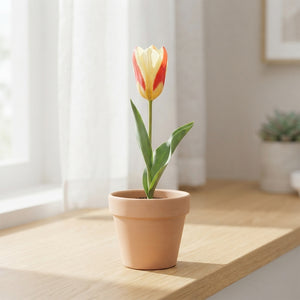 Tulipa kaufmanniana ‘The First’ Tulip Bulbs – Pack of 7