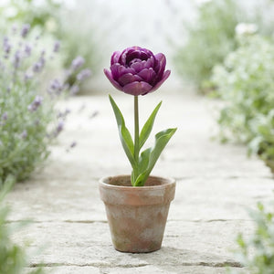 Tulipa ‘Garden Bravoure’ Flower Bulbs – Pack of 10