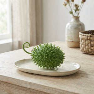 Ornamental Cucumber Fruit – Green Decorative Display