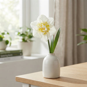 Narcissus ‘Salou’ Daffodil Bulbs – Pack of 5