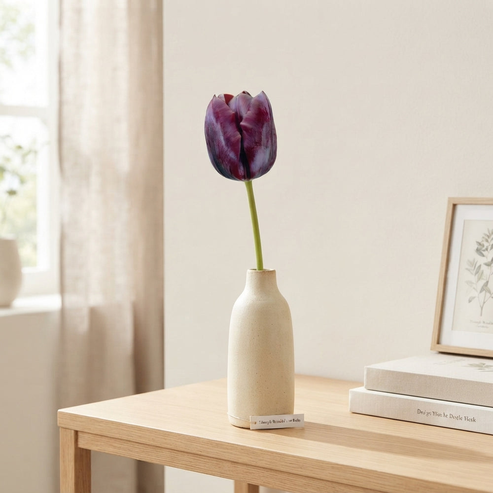 Tulipa Triumph ‘Ronaldo’ Tulip Bulbs – 12/+