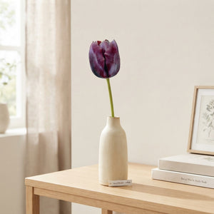 Tulipa Triumph ‘Ronaldo’ Tulip Bulbs – 12/+