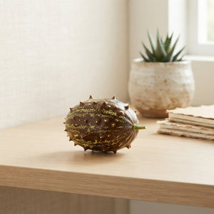 Decorative Cucumis Maryline Ornamental Fruits – Brown