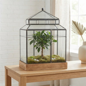 Wardian Case Terrarium – 30cm Glass Arrangement