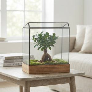 Wardian Case Terrarium – 30cm Glass Arrangement