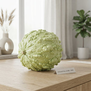Ornamental Cucumis Fruit Plant – Mixed Colours