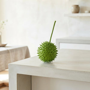 Decorative Green Cucumis ‘Ice Tea’ Fruit