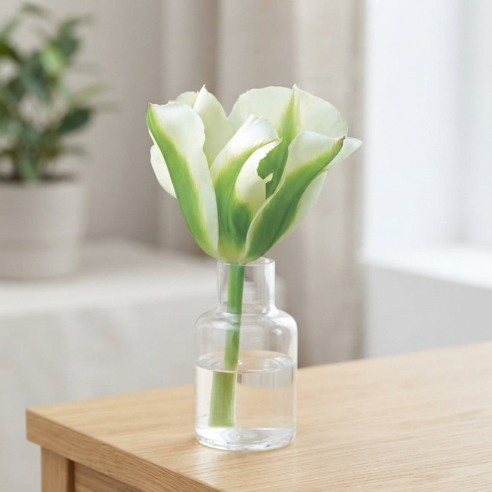 Tulipa Viridiflora ‘Spring Green’ Flower Bulbs – 7 Bulbs
