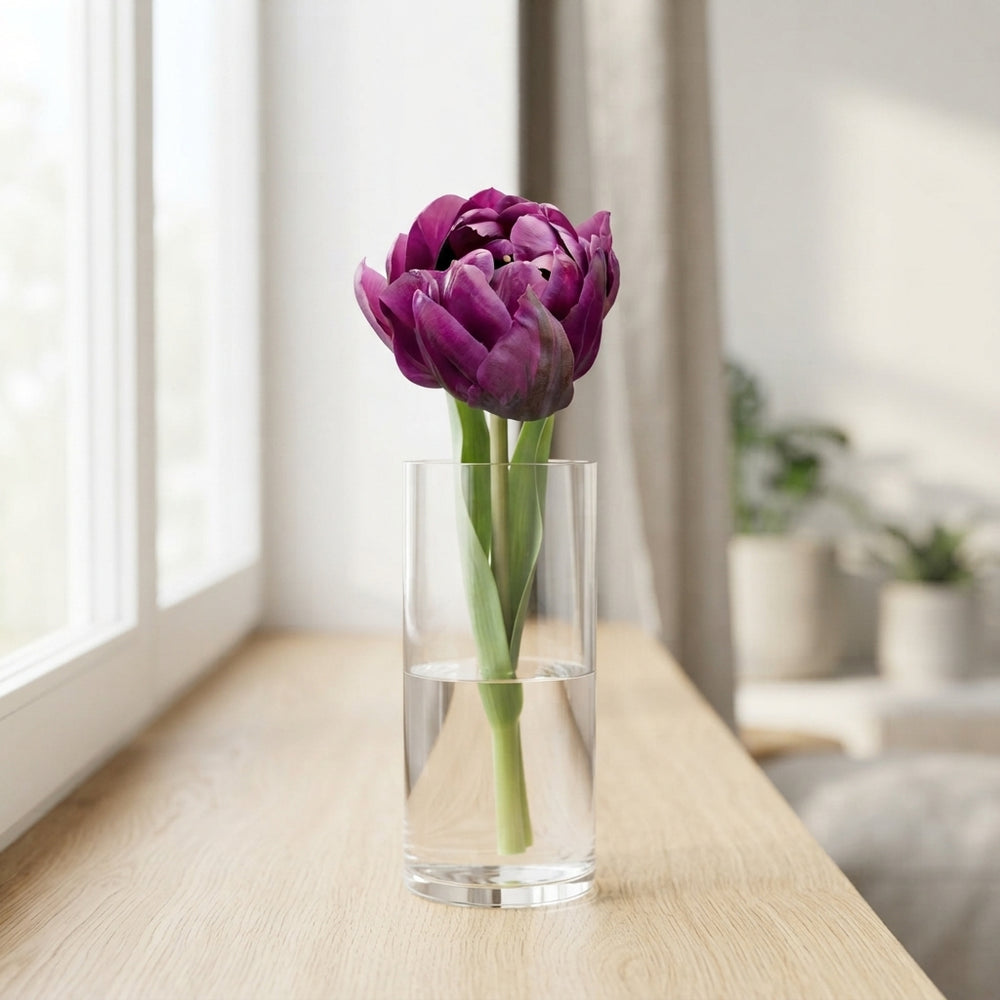 Tulipa Double Late ‘Negrita Double’ Flower Bulbs – Pack of 7